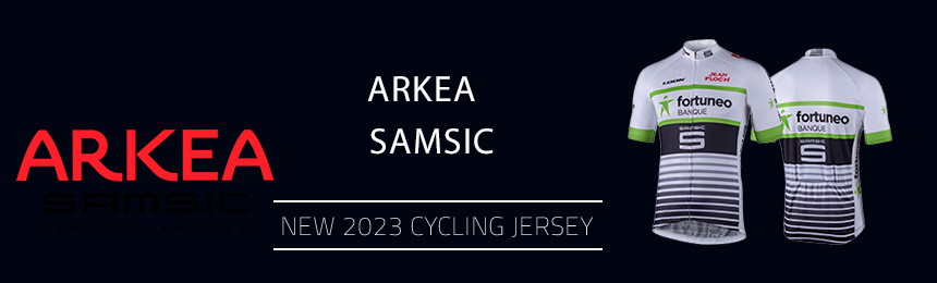 Arkea-Samsic